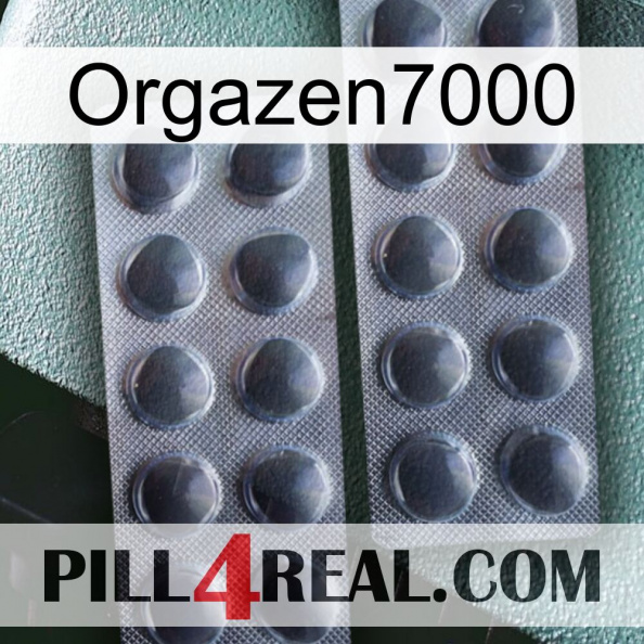 Orgazen7000 31.jpg